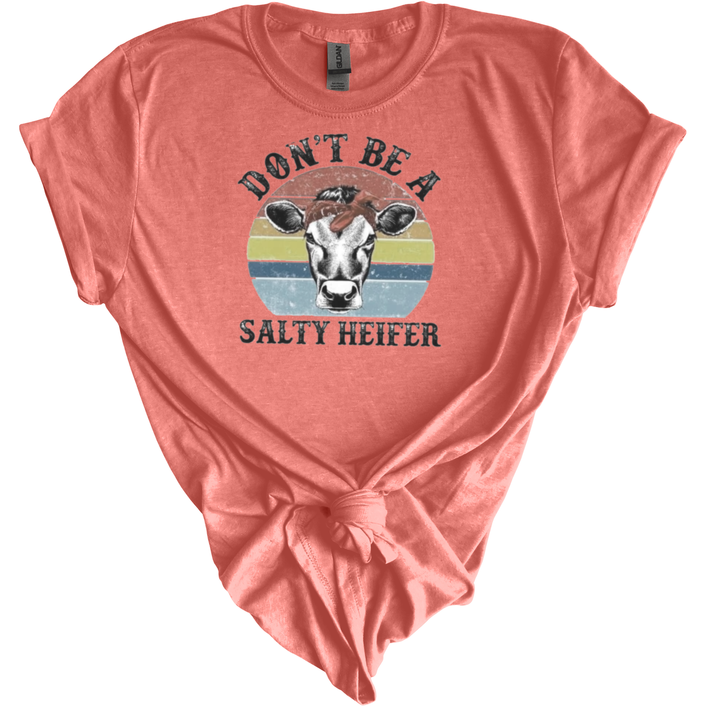 Don't Be A Salty Heifer-Women's Tees